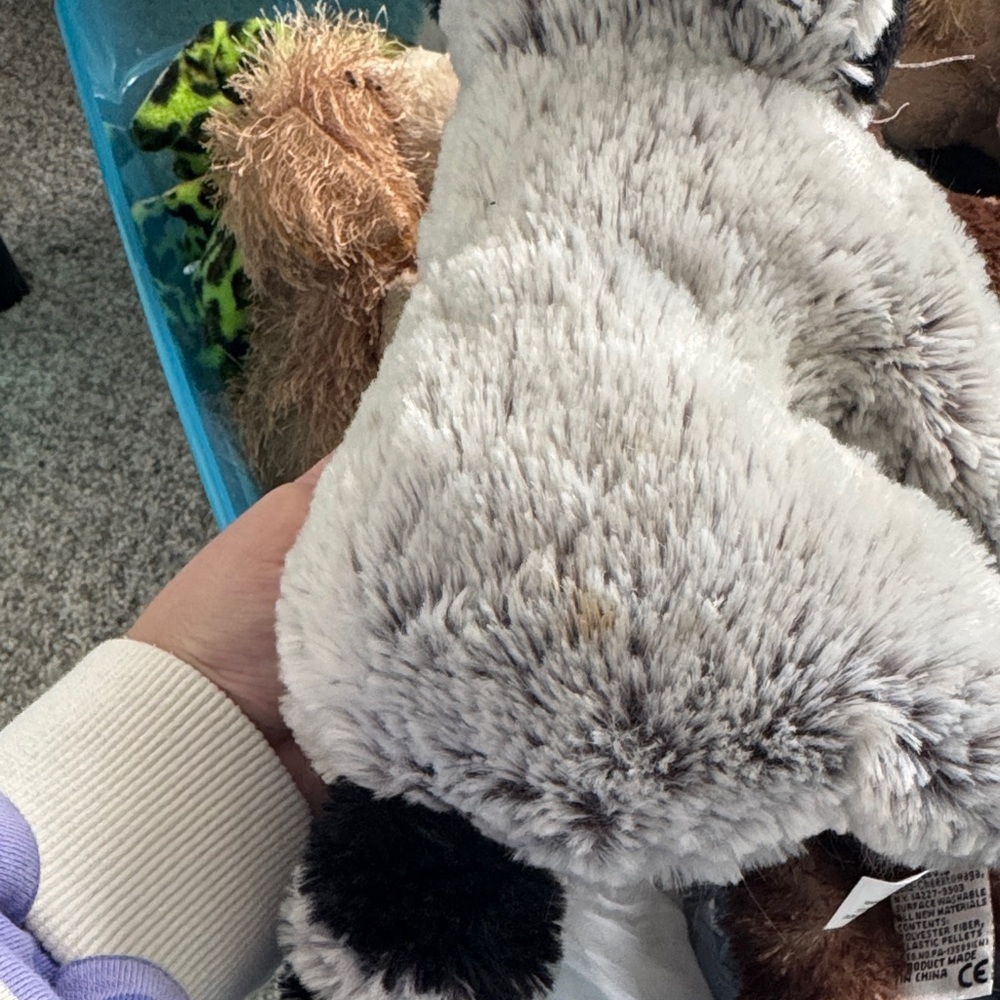 Webkinz Raccoon - Picture 6 of 6